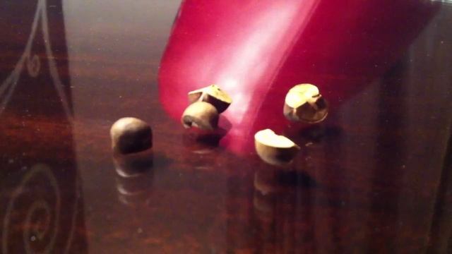 Jumping Beans!