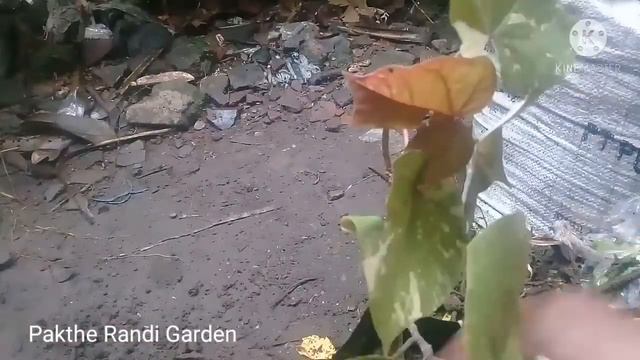 2077bd490b2143b73361e30967b006ab