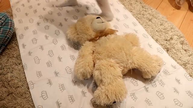 Af5d6c84442a447186b3e71019eee624