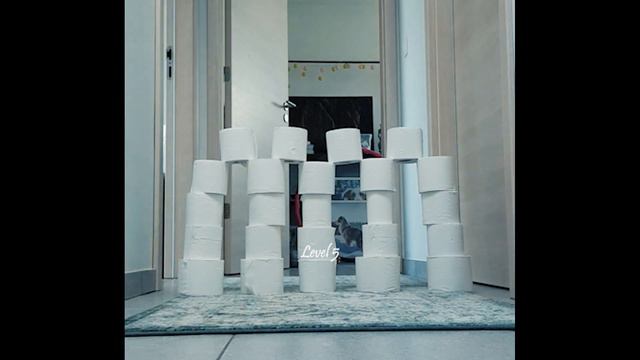 WOW! My Australian Shepherd Tries The Toilet Paper Challenge!