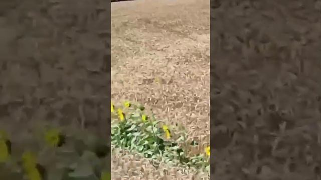 5e3e4f761763acd92bdd310825773df3