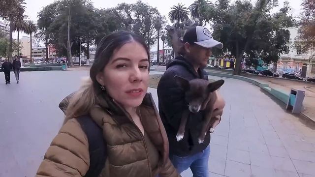 940a6ed29129cbdc642babc18a3b3fda