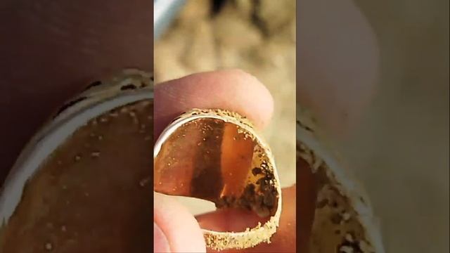 449c4844da8c46be52dc870a293b2e71