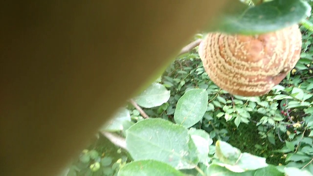 Aaadda920730e774df309043d8064197