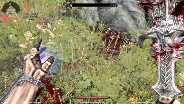 Skyrim  