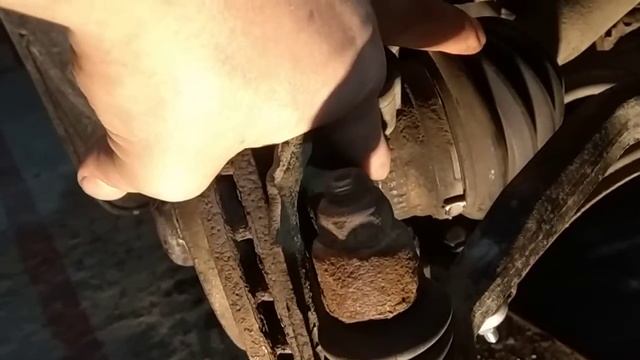 Счастье в Комнате