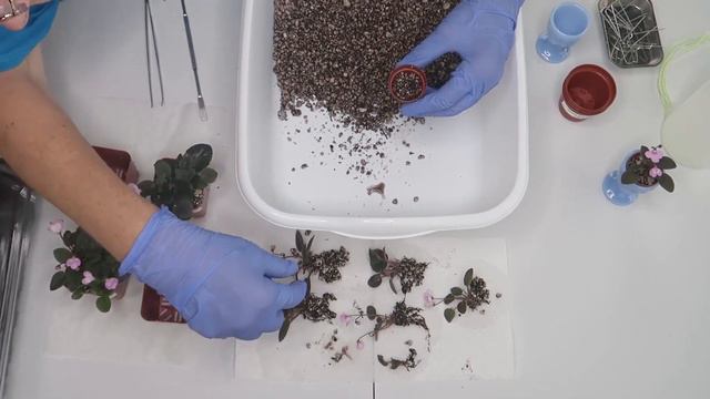 770e321d97679fc88ef89015221cea98