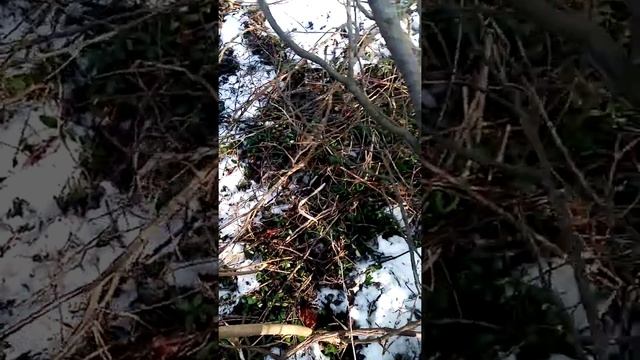 жить одному на даче мне нравиться потому что сколько не делай-всегда есть работа