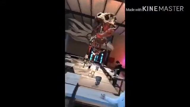 Бельгия, вафли, динозавры , картошка; атомы??