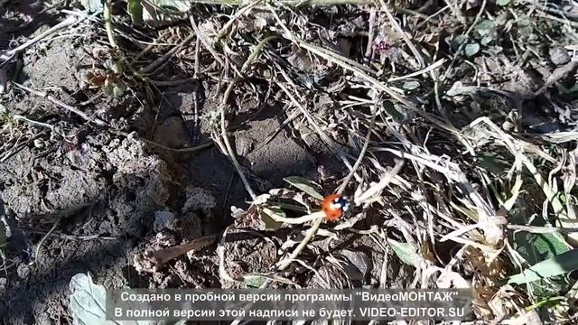 Be13c338e001a3abdc28e3bf300b3634