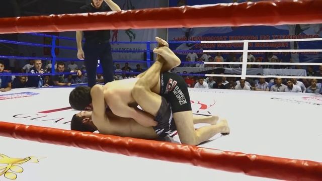 B47121a644e76c4859a7aa3b823cafbc