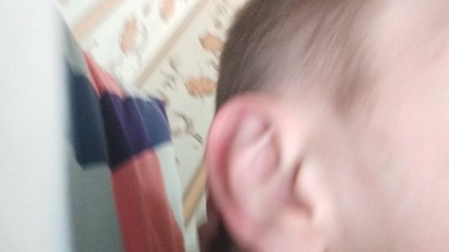 VID_20240419_133229.mp4