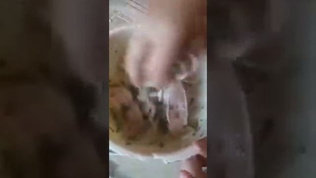 Хвост бобра жареный