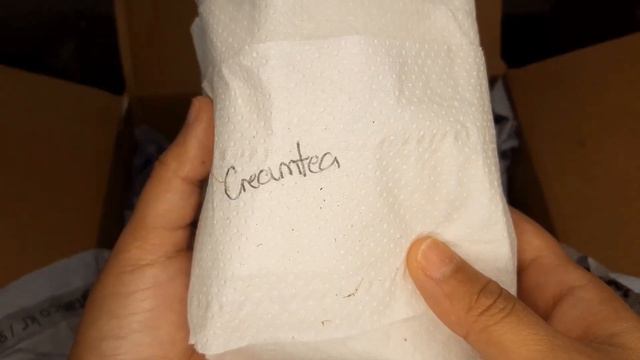 #55 Korean Succulent Unboxing With Succulent Names ID's