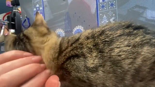 Что да как: 4-10 сентября