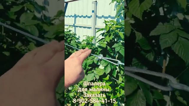 Шпалера для малины