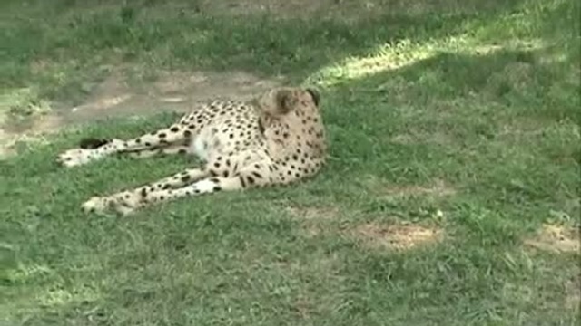 21cdc72e1c8d6640b7c180caba8a7858