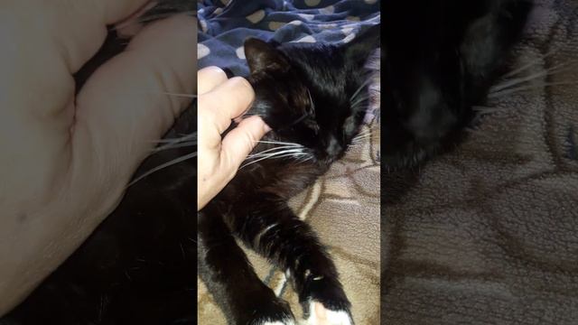 9a476d6f5fecc5169ab213a8dfff23a8