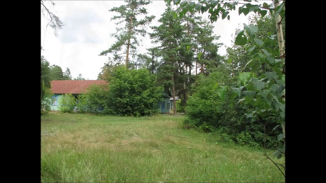 Кувшинка. 30 лет спустя