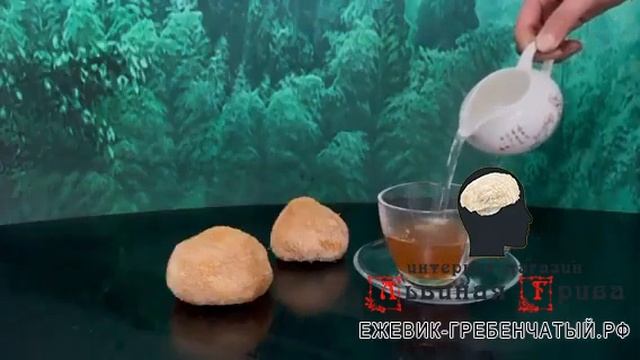 Как принимать ежовик гребенчатый, Львиная грива