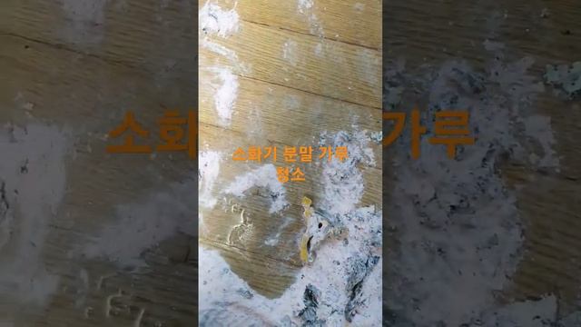 #종합청소업체 #청소스토리 #청소잘하는곳 #강남구 #도곡동 #소화기 #분말 #가루 #청소브이로그 #긴급청소 #문의및상담환영 #01055762450