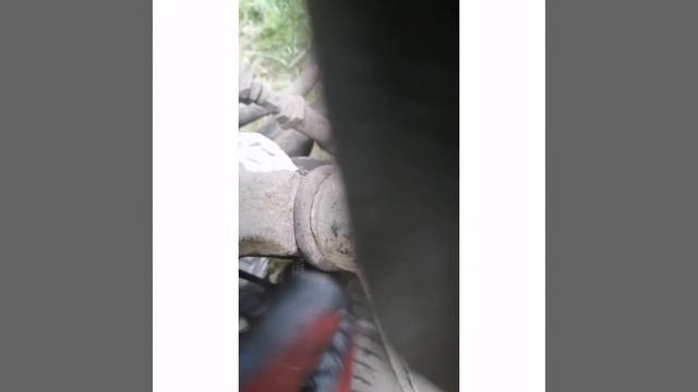 Автоджунгли