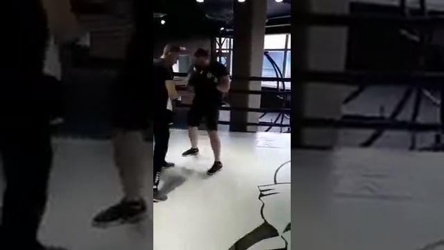 Элефант. тренер Березкин. работаем с Сергеем на лапах.