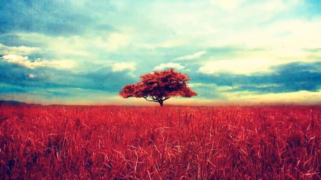 Dfea257831c94827755c801ab4daefc2