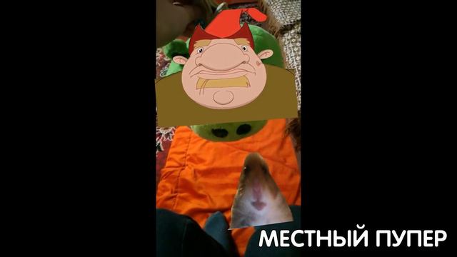 •МИНИ СБОРНИК МЕМОВ ПРО СВИНЬЮ•