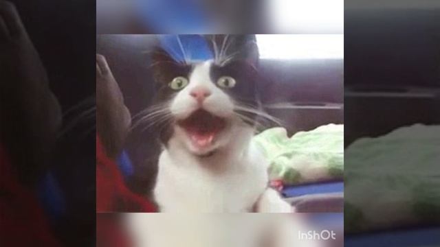 ПРИВЕТТТТТ