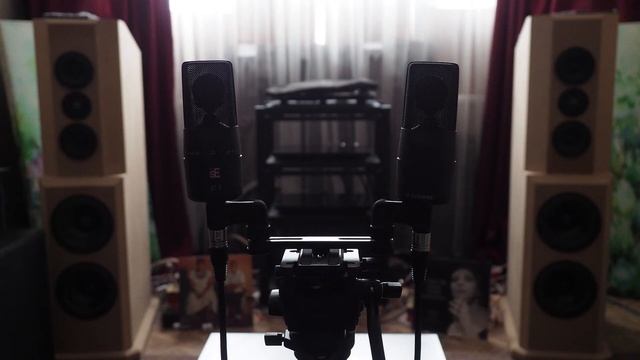 I Will Survive On Arena Audio S2