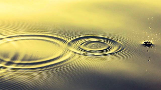 B996cb68395e4ac57d42975a4e0653ab