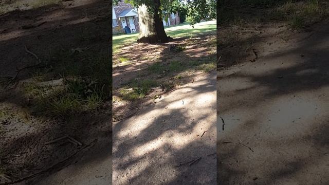 Storing Nuts For The Winter!!