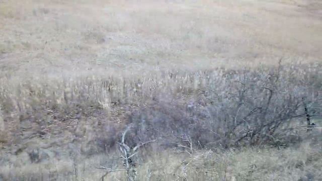 Подкова принесла удачу.