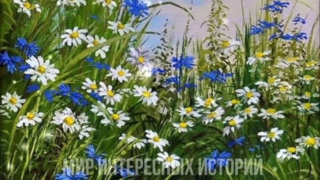 Волосы дыбом стали когда она услышала историю девочки. Галя решила ей помочь