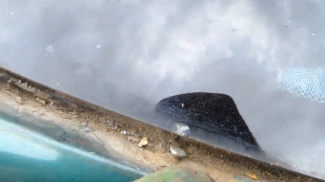 Кулинарные Каникулы