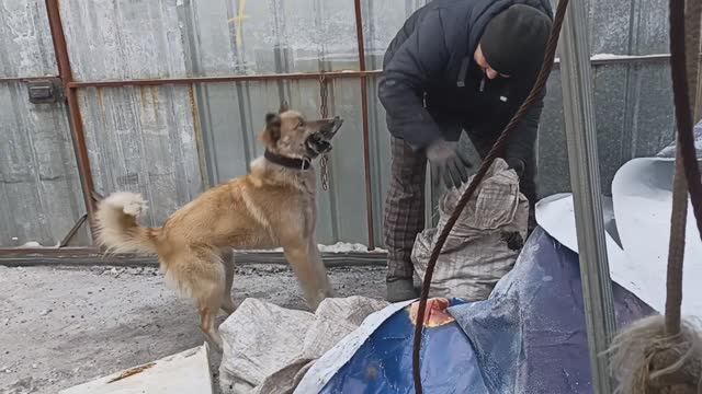 Люся ни даст замёрзнуть.