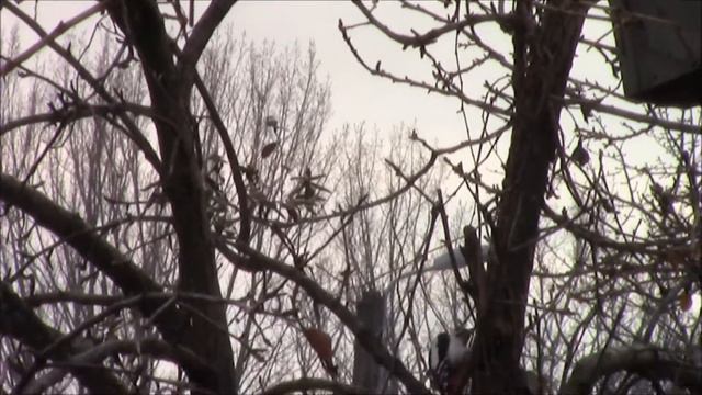 Весна красна пришла! Приветствуем весну!