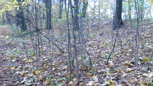 E38245bda3591f901a3868da7fd4c556