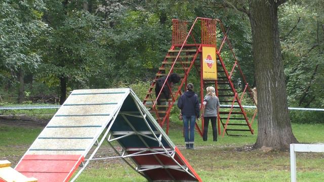 Чемпионат НКП 