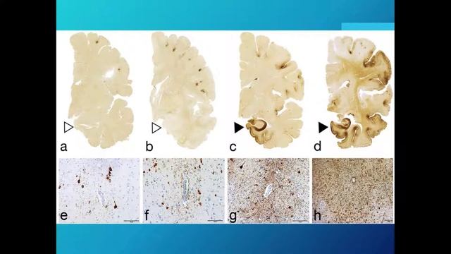 275c58f55d9d339b1f34c84d41c2655f