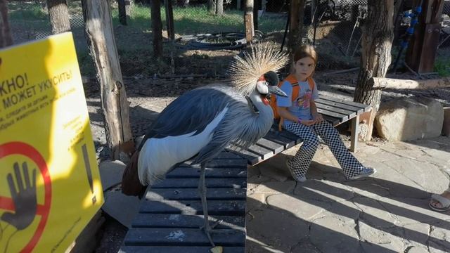 Южный парк птиц Малинки