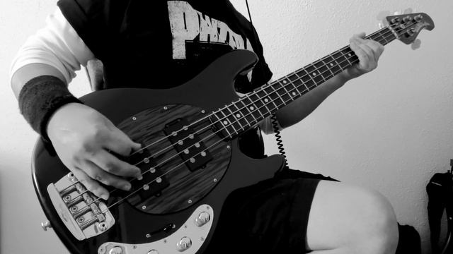 P A N T E R A - Mouth For War (Bass Cover)