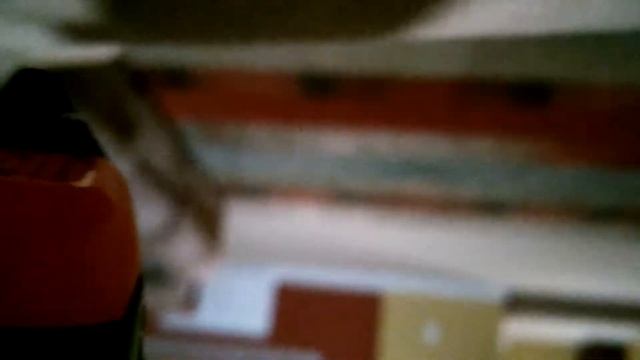 Survive Till The End Part 1