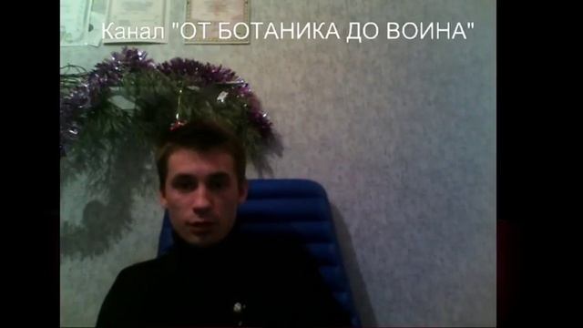 Стрим. Тактика для победы в переговорах 