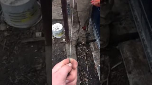 Полезные тренировки