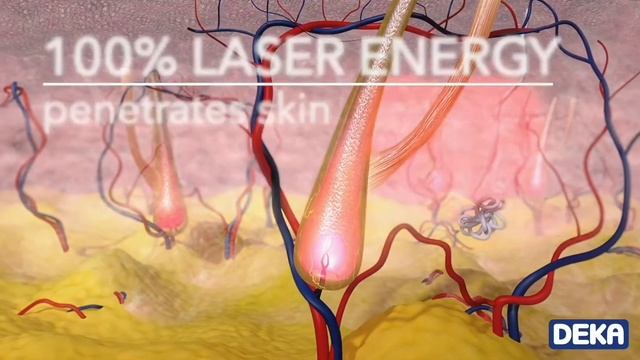 D8398fe3c58c0e94aef45e191f5e2669