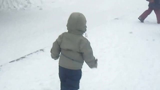 зима 2017 прогулка по Первомайскому скверу в Новосибирске