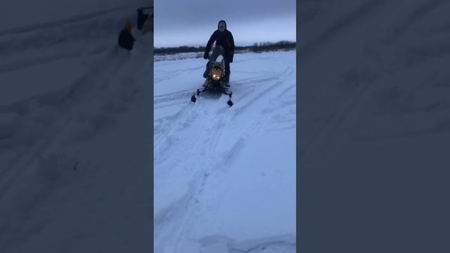 Снегоход динго т 150