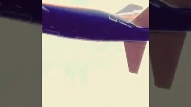 Карина Зверева сняла самолёт